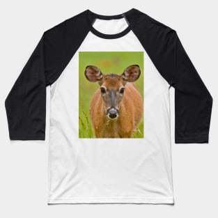 White-tailed Deer Baseball T-Shirt